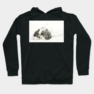 Champ snoozing Hoodie